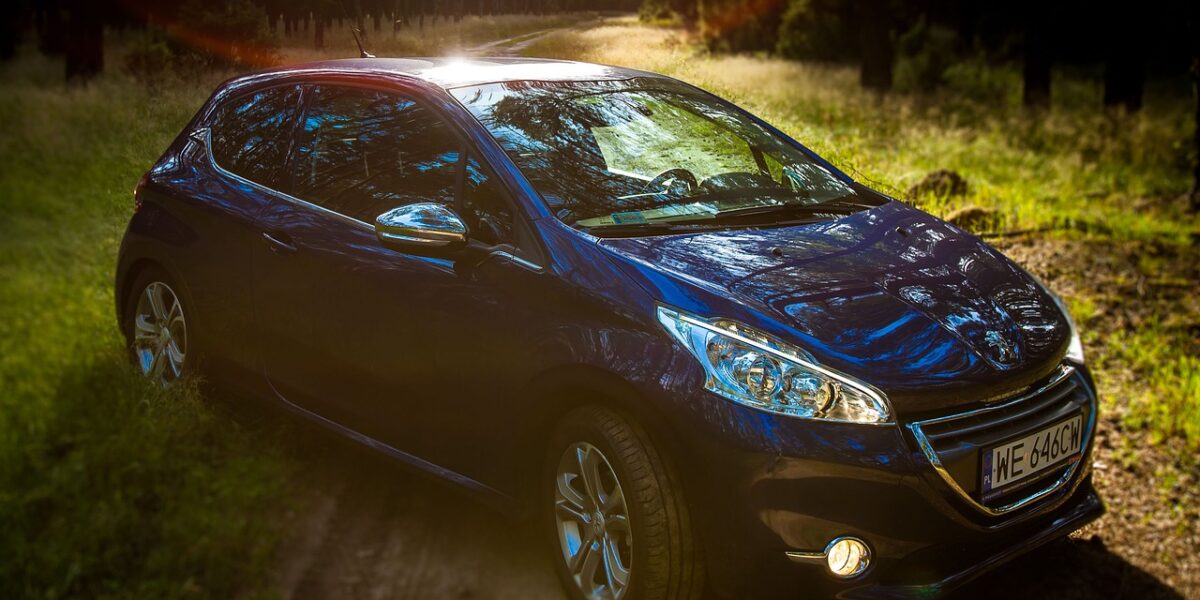 Boostez_l_allure_de_votre_auto_avec_le_covering_208_